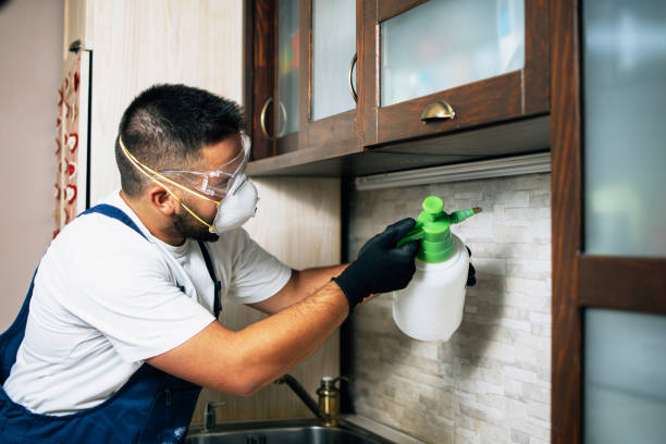 Best Exterminator Services  in Maumelle, AR