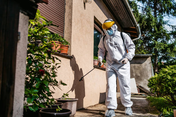 Best Local Pest Control Services  in Maumelle, AR