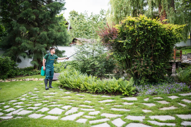 Best Pest Inspection Near Me  in Maumelle, AR