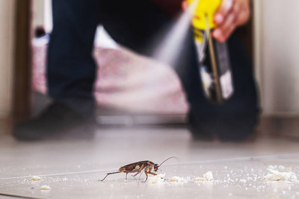 Best Affordable Pest Control Services  in Maumelle, AR