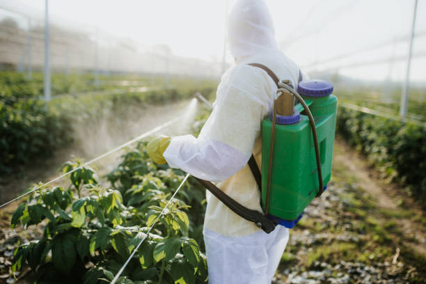 Flea Control Services in Maumelle, AR